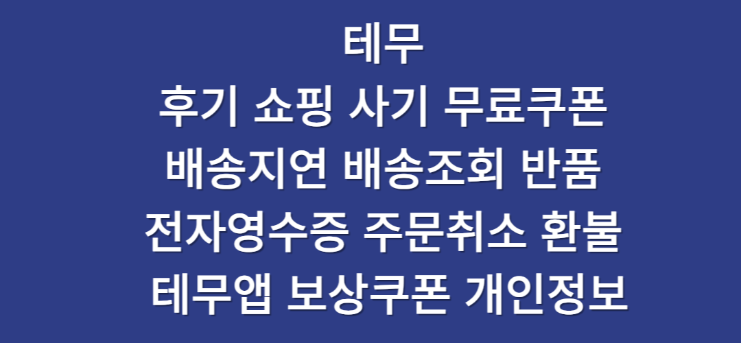 테무 후기 쇼핑 등 여러 내용