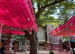 도선사