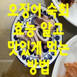  오징어 숙회 효능 알고 맛있게 먹는 방법