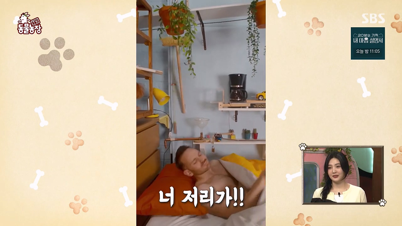 TV 동물농장.E1172.240520p-NEXT.mp4_20240519_162216.122.jpg