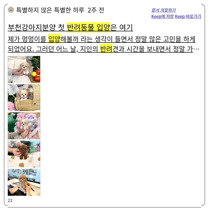 반려동물 입양_1_subsection