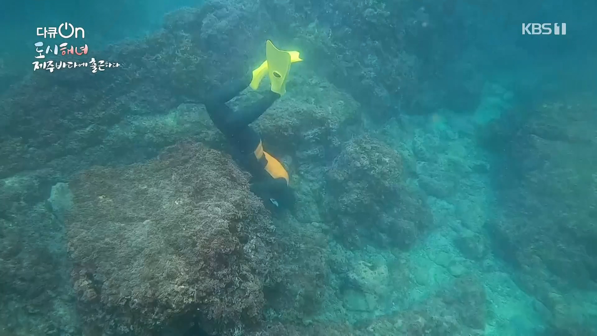 다큐 On.E197.230505p.H264-F1RST.mp4_20230507_133503.282.jpg