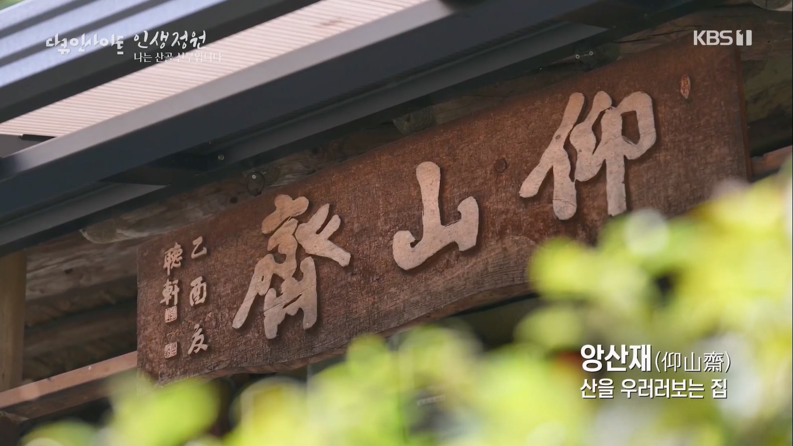 다큐 인사이트.E153.230608p.H264-F1RST.mp4_20230612_202743.458.jpg