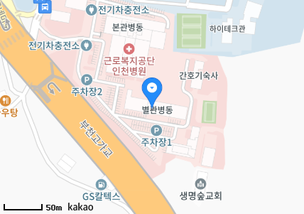 인천 부평구 구산동 일요일 진료 휴일 문 여는 병원