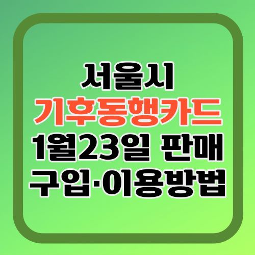 서울시-기후동행카드