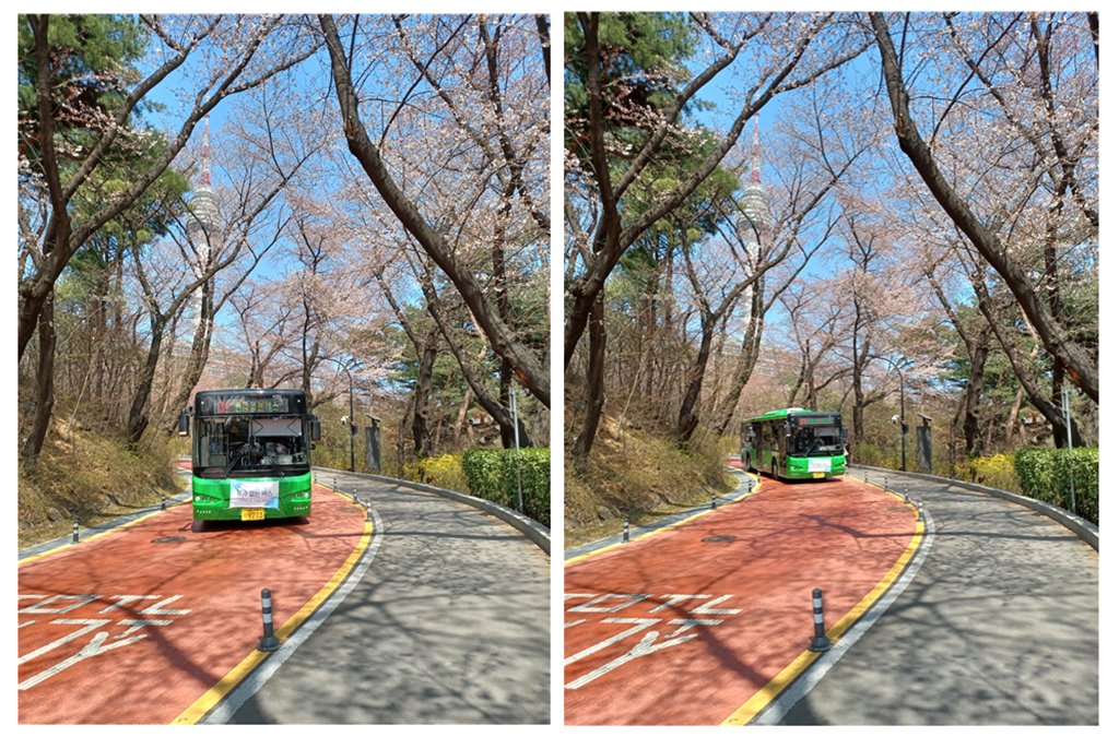 녹색순환버스 (01번&#44; 8001번)