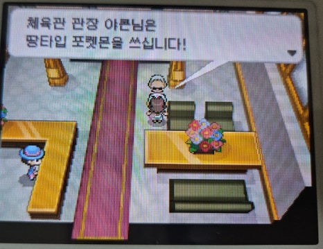 꽃마을 이미지