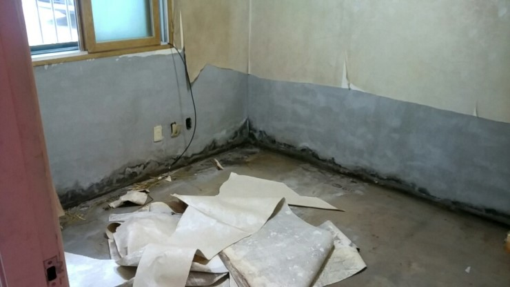 필요없는 곰팡이제거 sm5000 셀프시공 3