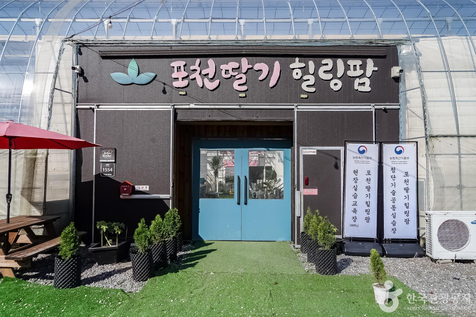  더욱 스마트해진 농촌 체험여행 포천딸기힐링팜 팜크닉