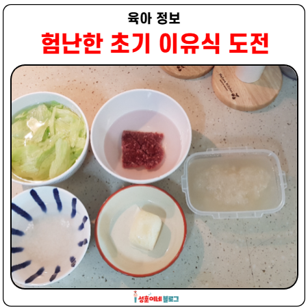  초기이유식 만들어봤어요 소고기 이유식