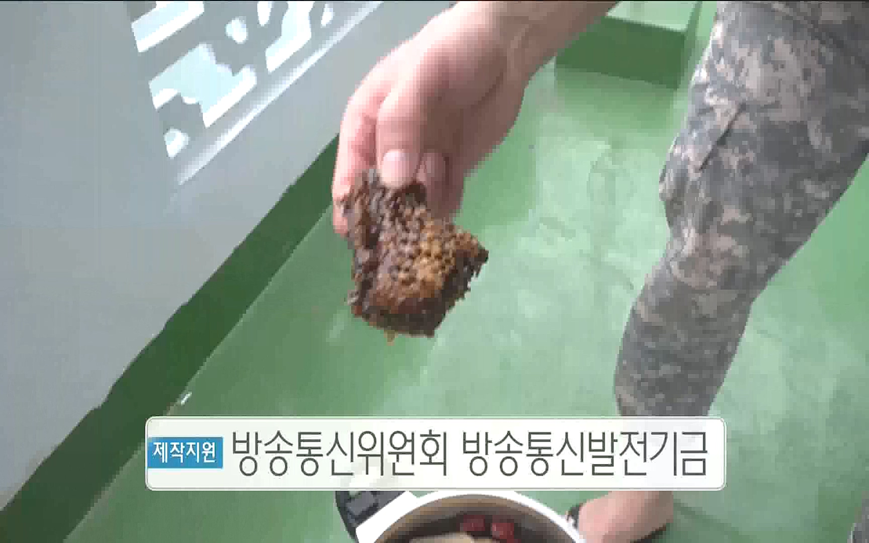 벌집 찾는 사람들.mp4_20221006_212405.473.jpg