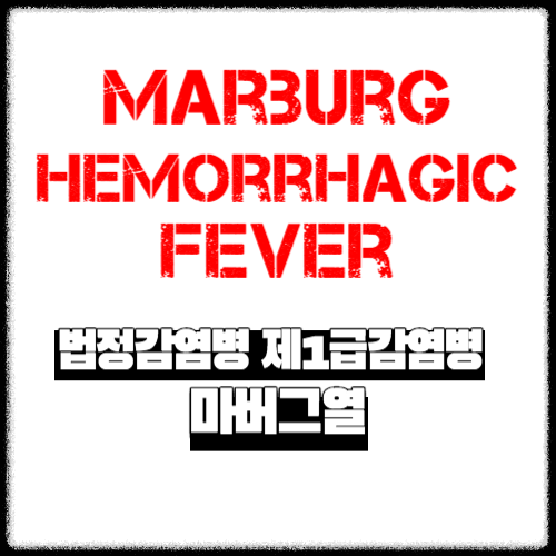 법정감염병 제1급감염병 &#124; 마버그열(Marburg Hemorrhagic Fever)