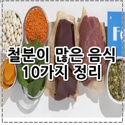 철분이 많은 음식 10가지 알아보기