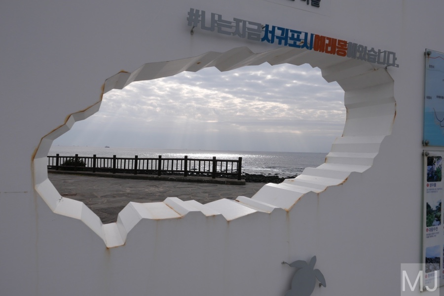 어린왕자 체험 in 감귤밭 카페 37