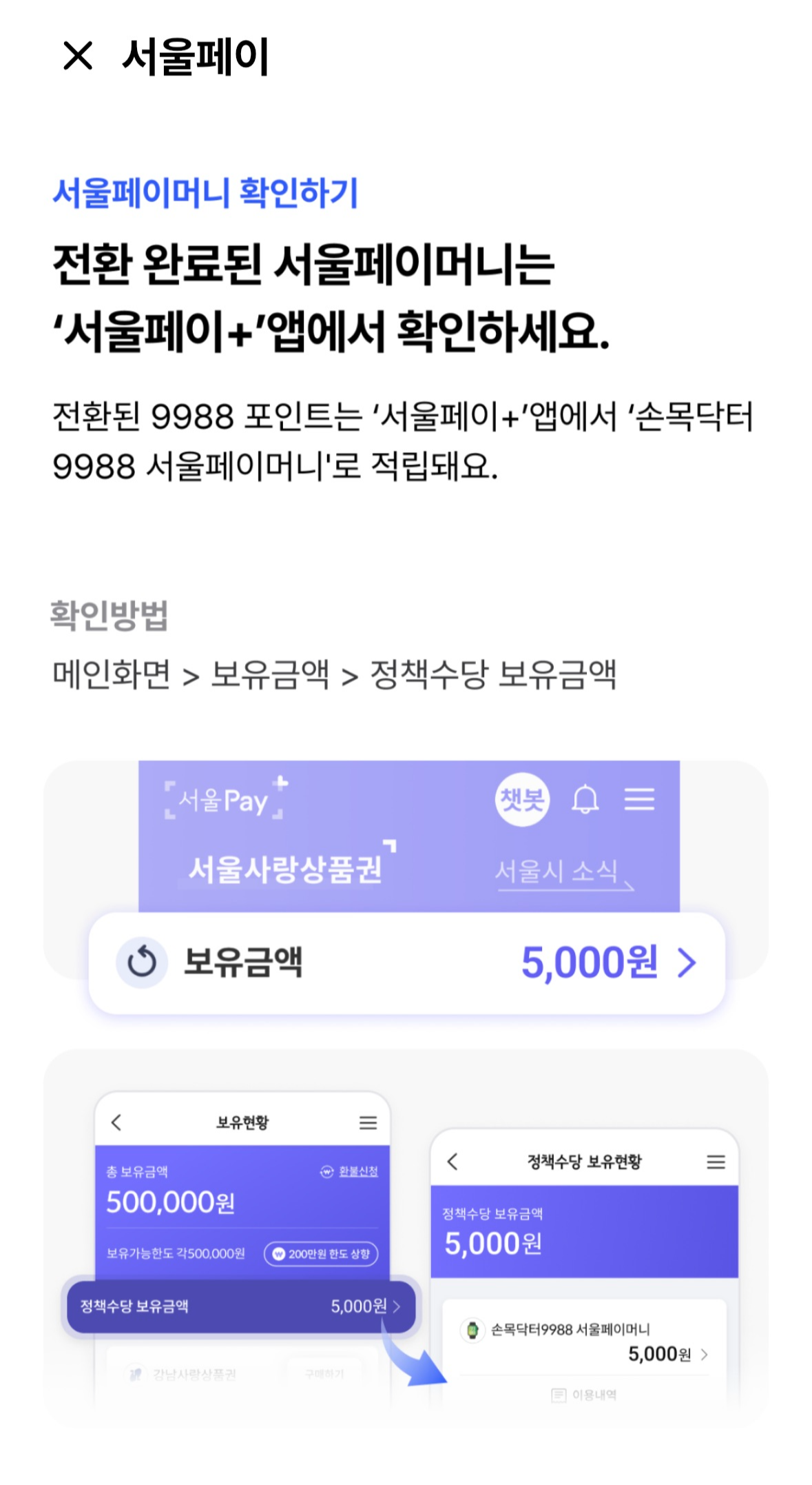 서울페이머니 전환 확인