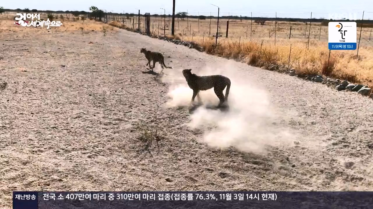 걸어서 세계속으로.E816.231105p-NEXT.mp4_20231104_175428.396.jpg