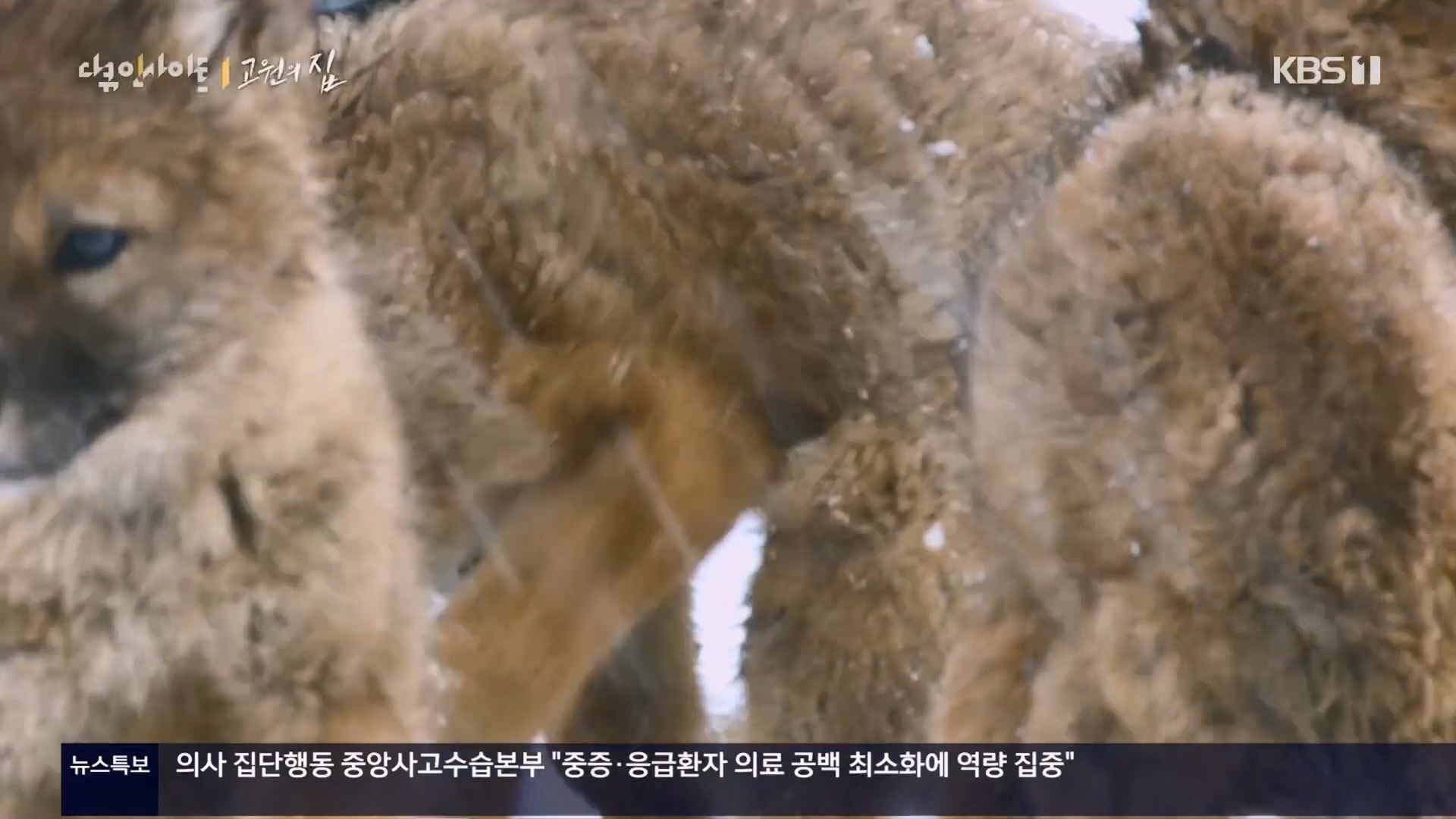 다큐 인사이트.E176.240328p.H264-F1RST.mp4_20240330_162425.502.jpg