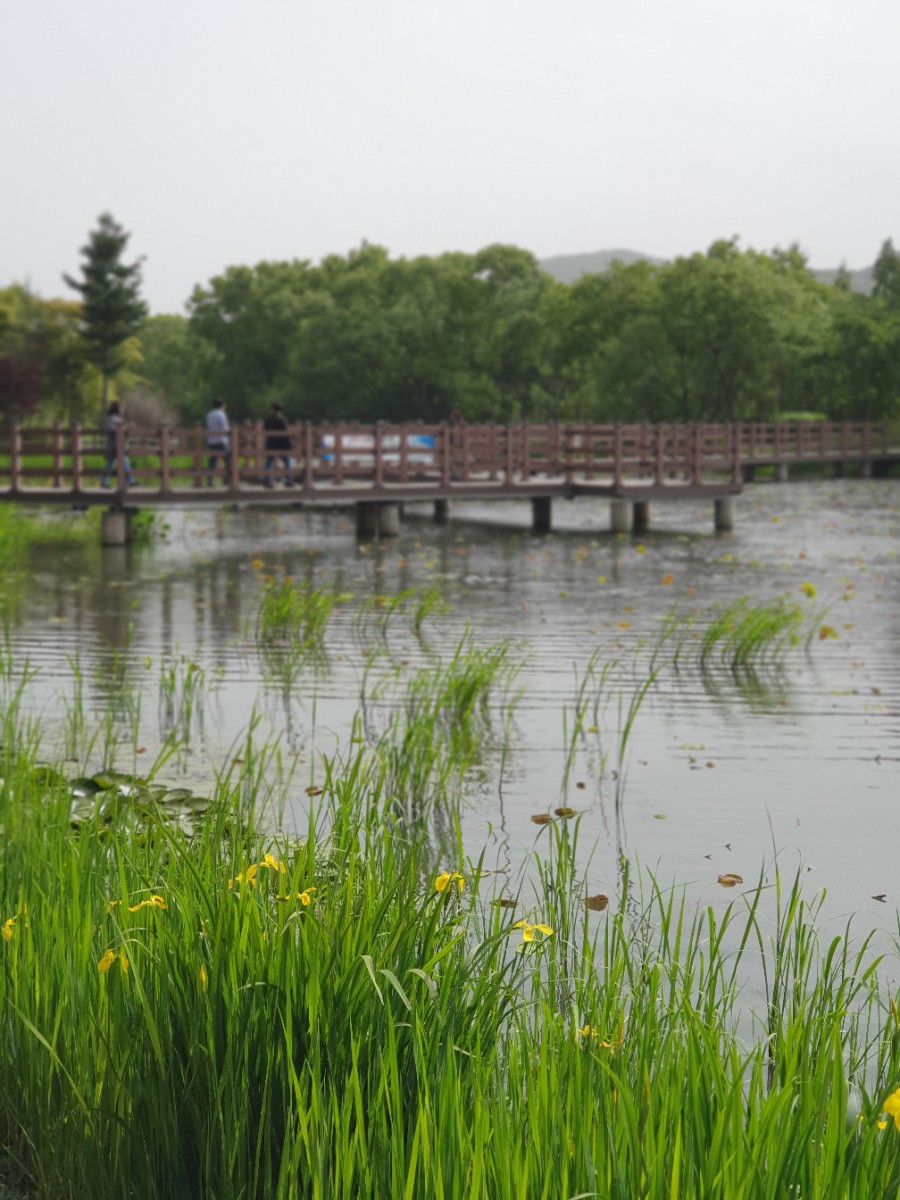 경안천 습지생태공원 여행 경기도 광주에 가볼 만한 곳 20