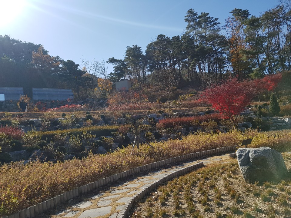  원주 가볼만한 곳/ 주말에 상쾌한 힐링이라니, 원주 산책 동화마을 수목원