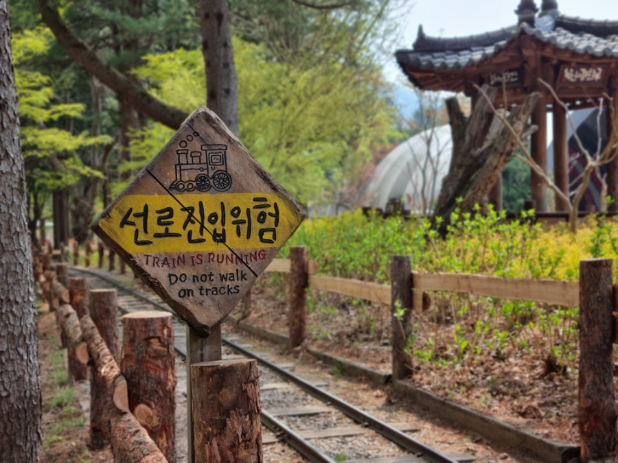 남이섬 배시간표 남이섬 배시간표, 할인 방법, 12