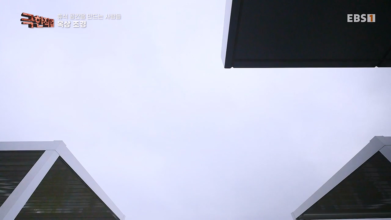 TV - 전 국민의 평생학교 EBS휴식공간을 만드는 사람들, 대형목 이식과 조경.mp4_20240518_160901.500.jpg