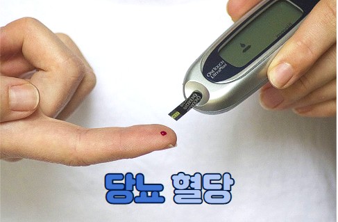  배불리 먹어도 괜찮은 좋은 당뇨 음식 5가지, 간식 3가지! 이런 효능이 있는지 몰랐을걸요. 일반인에게도 좋아요