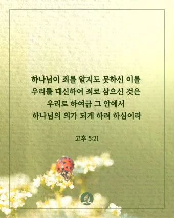 고린도후서 5장 17절 해석 - 그런즉 누구든지 그리스도 안에 있으면 새로운 피조물이라_8