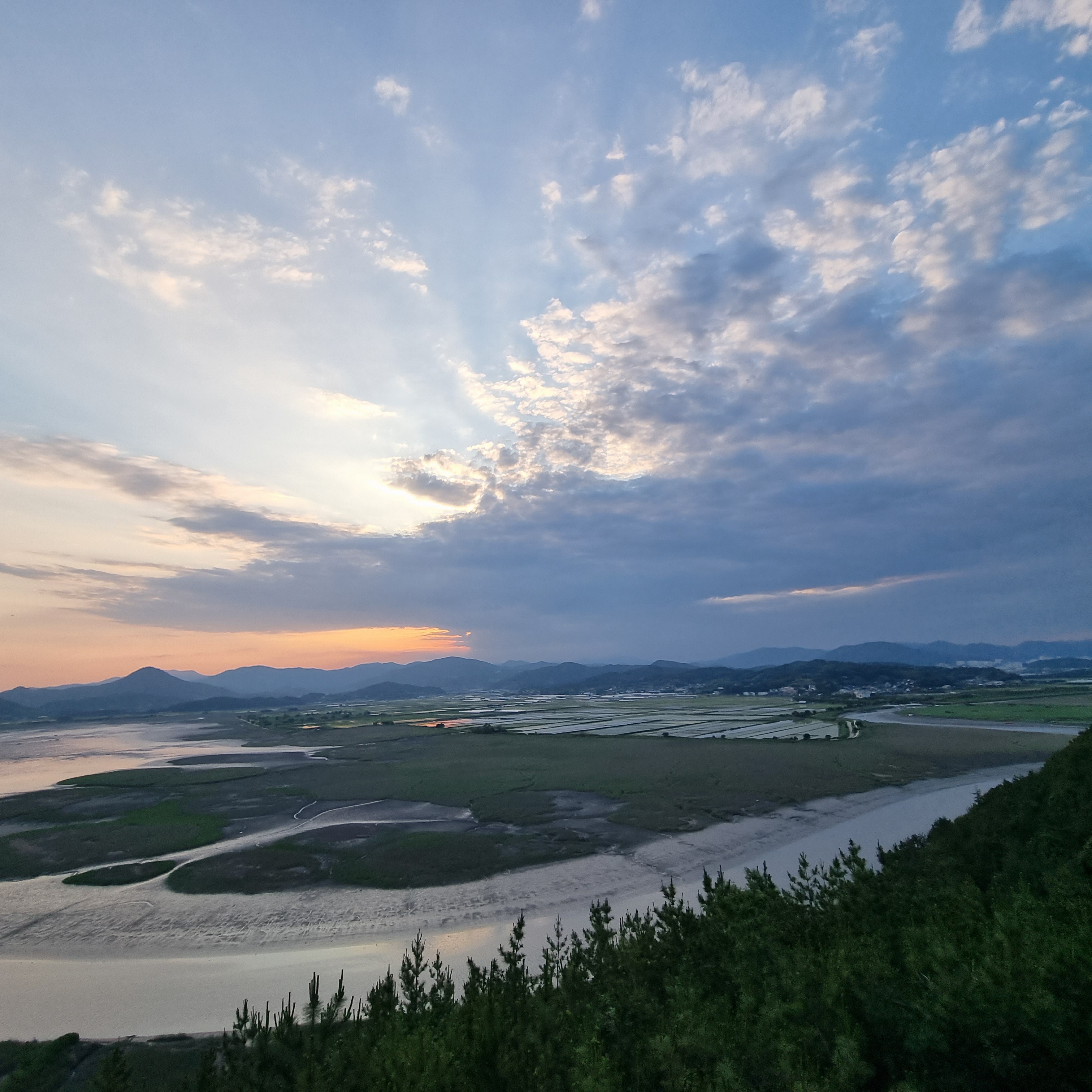 순천만습지 용산전망대