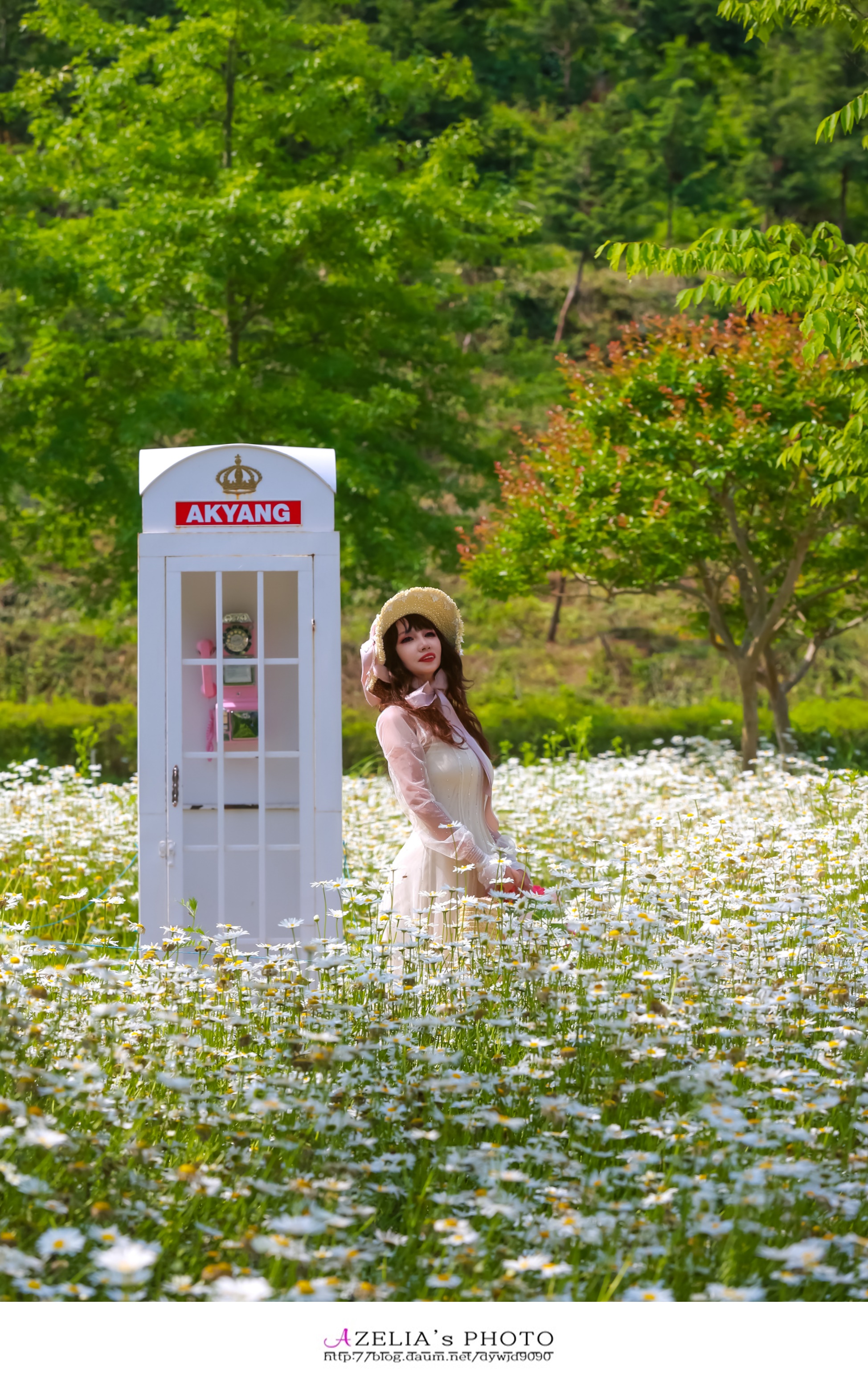 함안계란 이미지