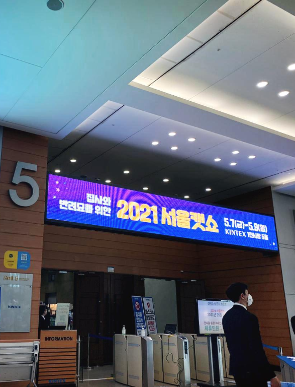  집사 와 반려묘를 위한 2021 서울캣쇼 [KINTEX 1전시장 5홀]