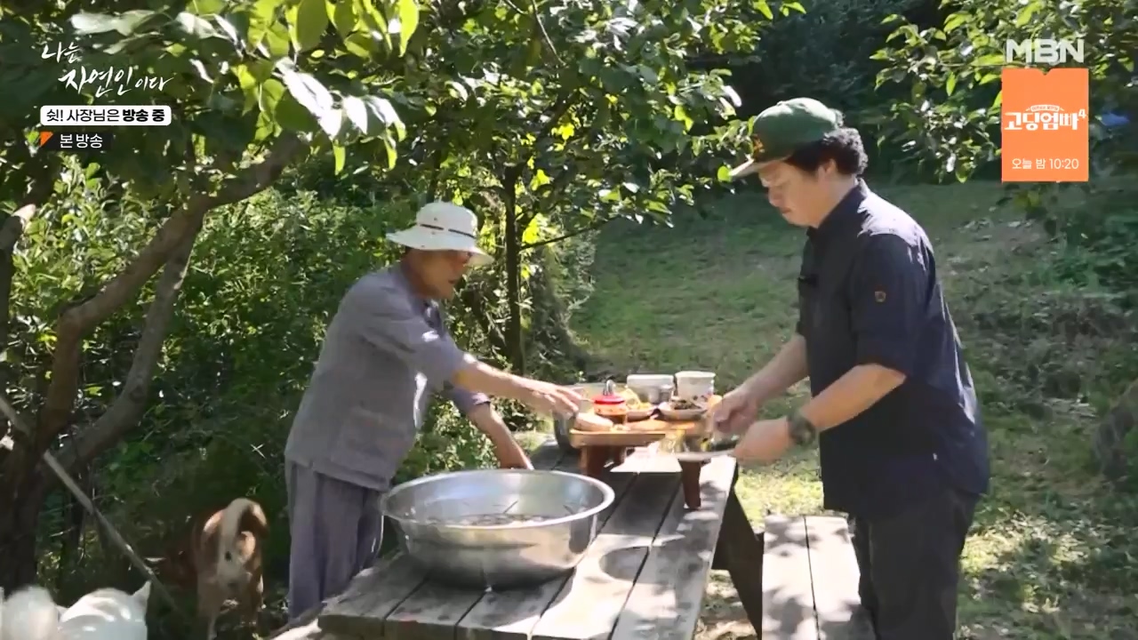 나는 자연인이다.E573.230928p-NEXT.mp4_20230929_174829.812.jpg