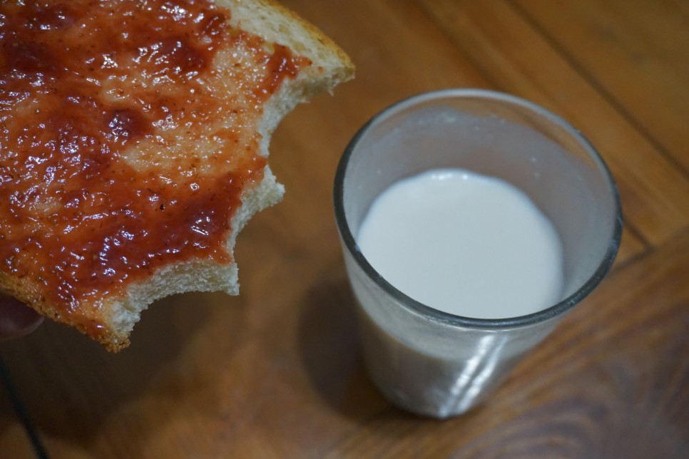 뉴트리디 데이 다이어트 단백질 쉐이크