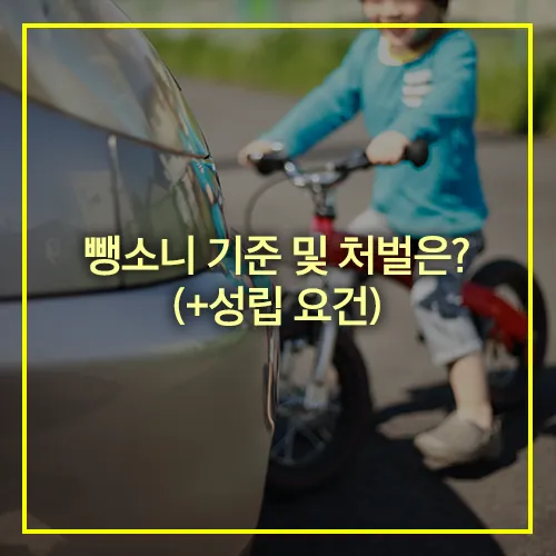 뺑소니 기준 성립요건 처벌