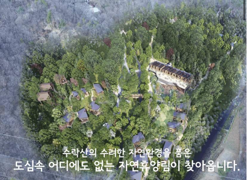 수락숲이랑 이미지