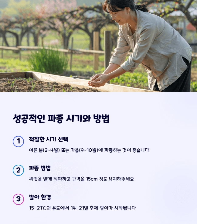 개양귀비