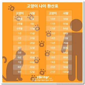 개의 크기별 나이 환산법_5