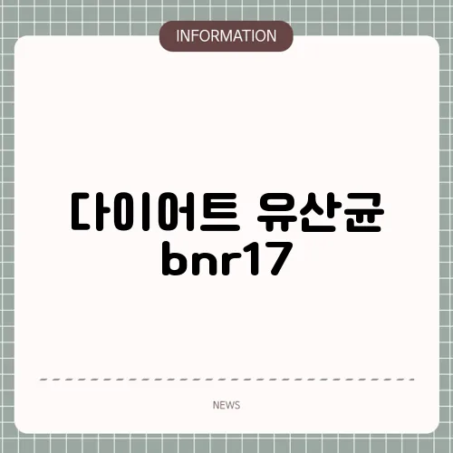 다이어트 유산균 bnr17