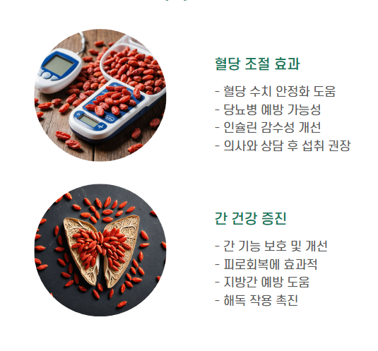 구기자 효능2