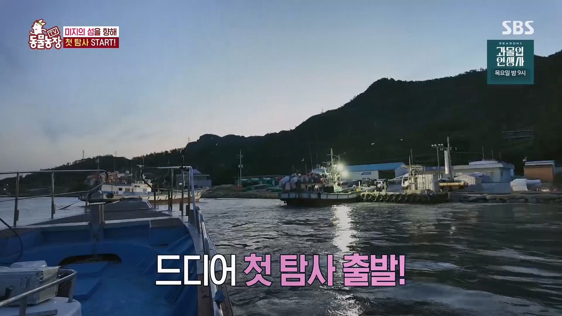 TV 동물농장.E1180.240714p.H264-F1RST.mp4_20240715_201727.450.jpg
