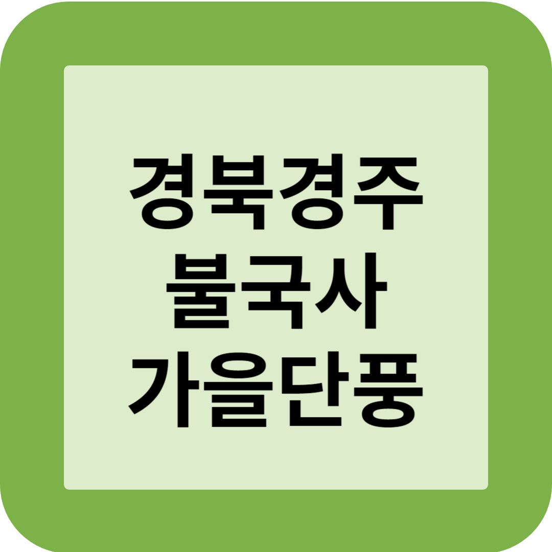 경북 경주 불국사 가을단풍