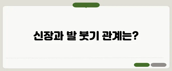 발이 붓는 이유 신장 문제와도 연관돼요