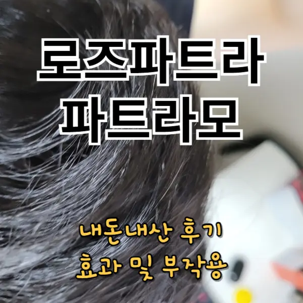 파트라모 내돈내산 후기, 모발 효과와 부작용 알고 드세요