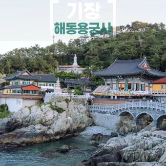 해동 용궁사 근처 맛집 입장료 둘레길 소요시간_19
