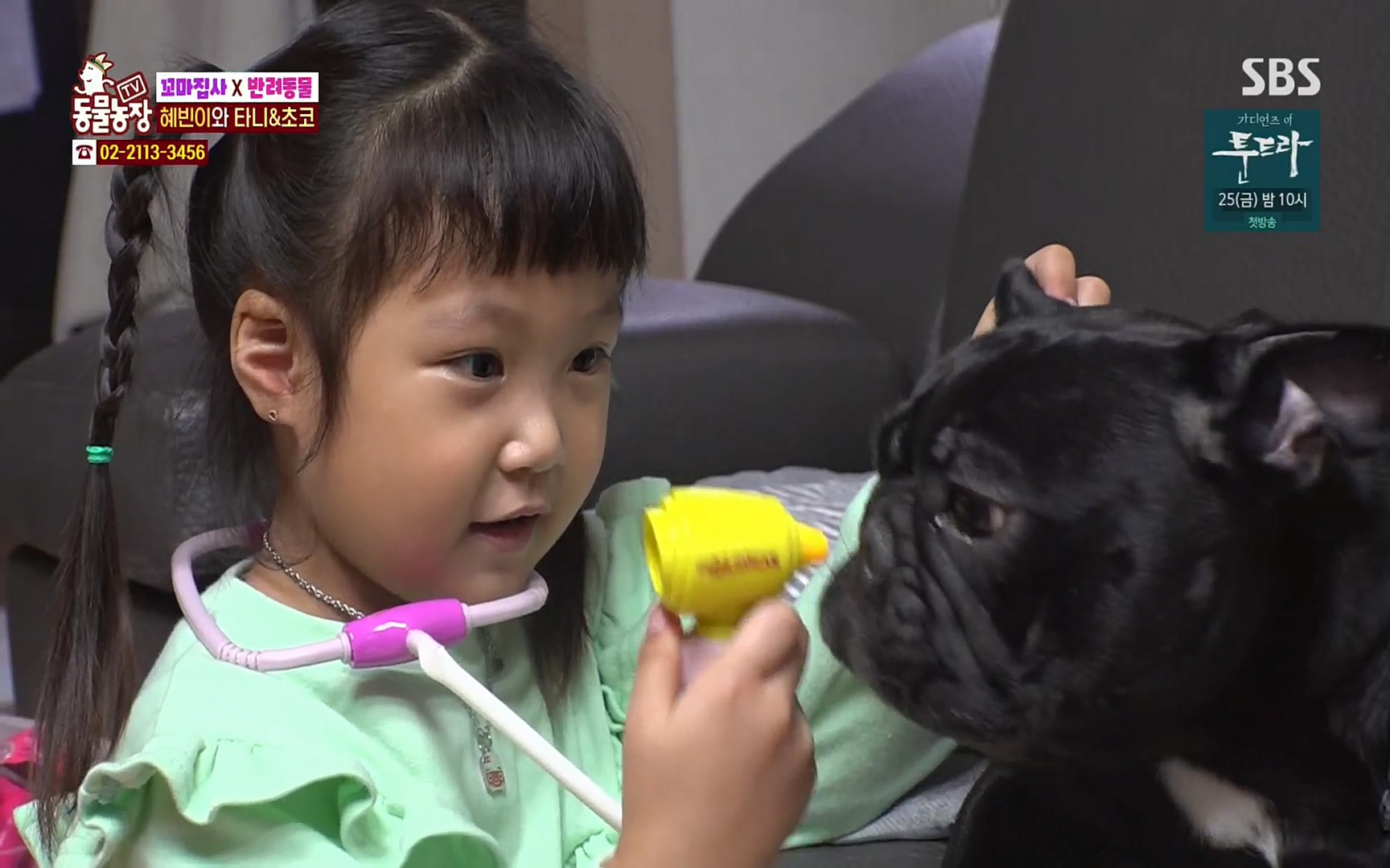 TV 동물농장.E1061.220320p.H264-F1RST.mp4_20220320_183622.620.jpg