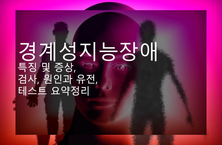 경계성지능장애 특징 및 증상, 검사, 원인과 유전, 테스트 요약정리