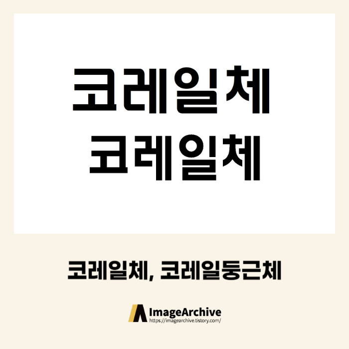  한국철도공사의 코레일체, 코레일둥근체 - 상업용 무료폰트 다운로드