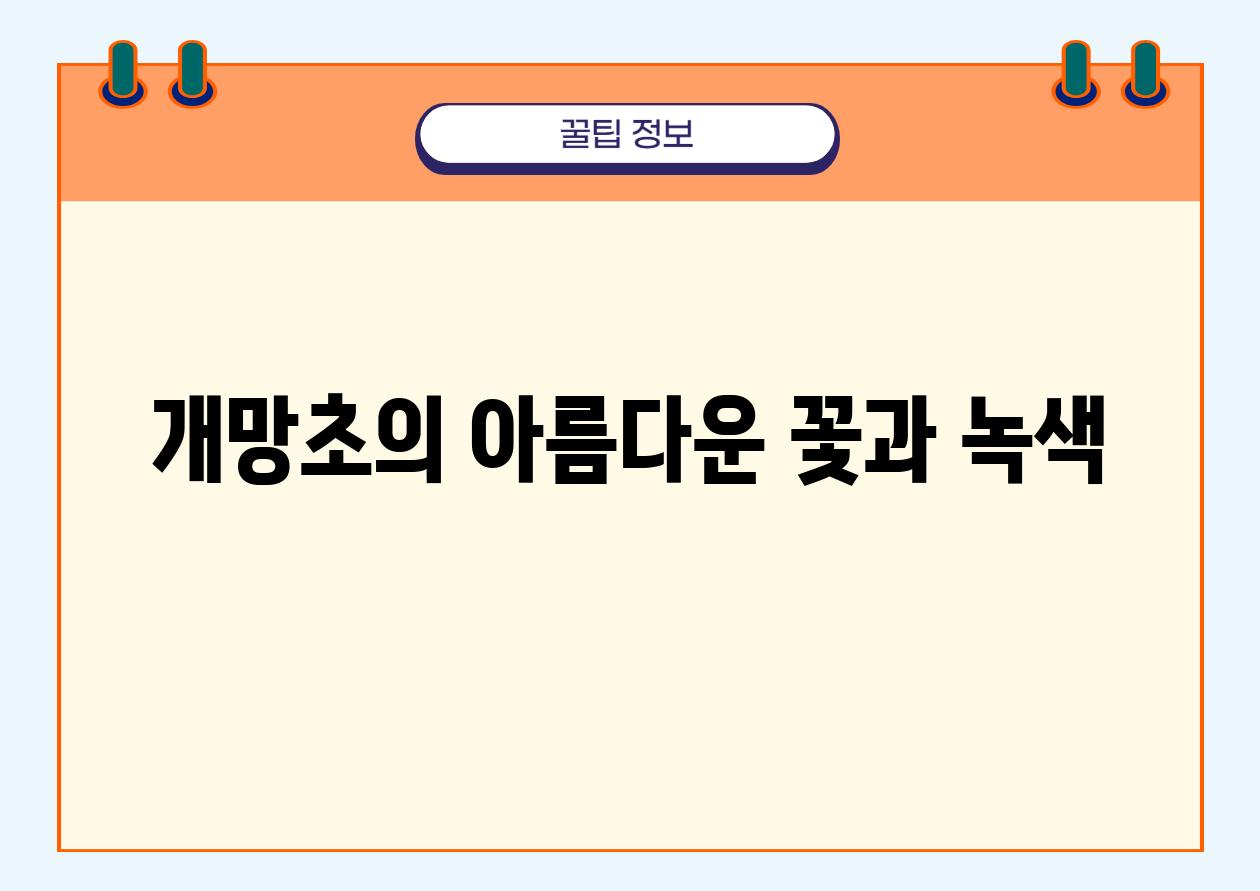 개망초의 아름다운 꽃과 녹색