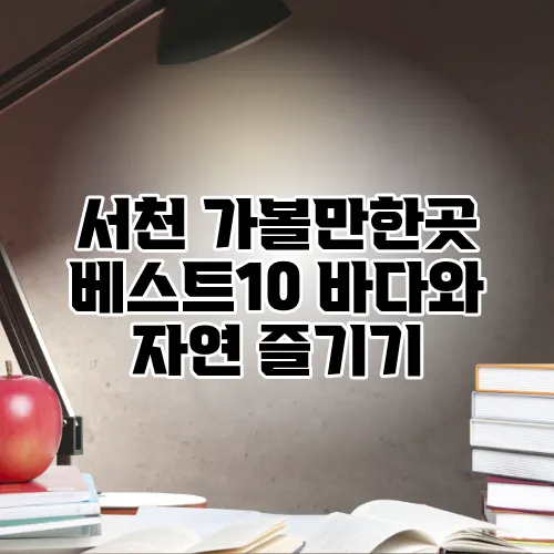 서천 가볼만한곳 베스트10 바다와 자연 즐기기
