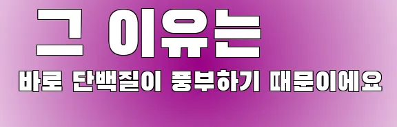  그 이유는 바로 단백질이 풍부하기 때문이에요
