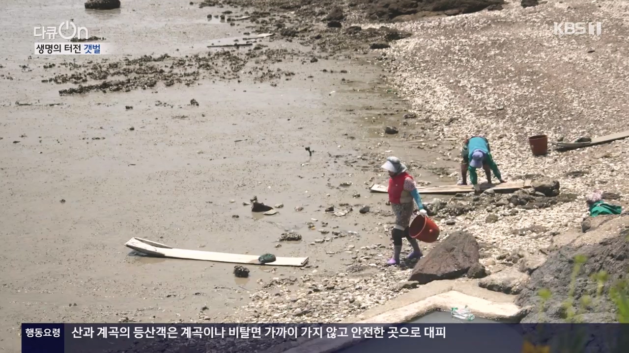 다큐 온.E206.230723p-NEXT.mp4_20230724_214215.385.jpg